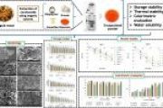 Effect of biopolymers and proteins-based microencapsulation on stability and water solubility of temple waste (Tagetes erecta) derived carotenoids