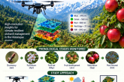 Drones for Healthier Apple Orchards