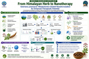 From Himalayan Herb to Nanotherapy