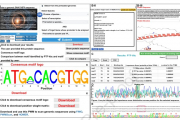 PTF-Vāc: A software which redefines the regulatory research in plant through a new AI alorithm to decode TF binding and motif discovery