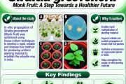 Monk Fruit: A step towards a healthier future
