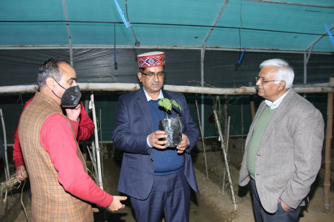 Visit of Shri Lok Nath Sharma Hon'ble Minister Government of Sikkim to CSIR-IHBT_8