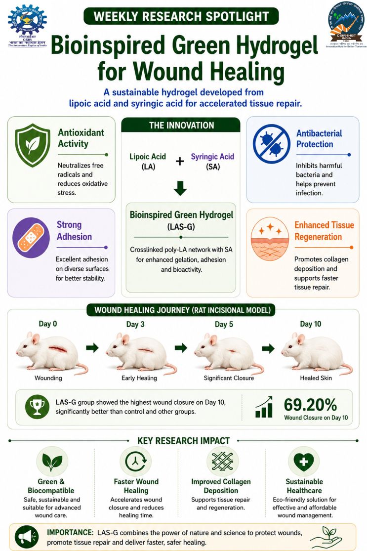 Green Hydrogel 